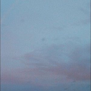 Meet your Posher, Tayler